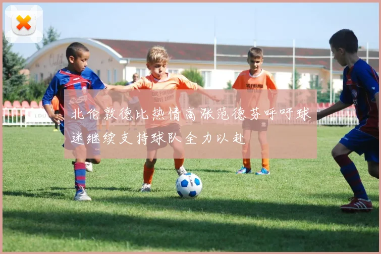 北伦敦德比热情高涨范德芬呼吁球迷继续支持球队全力以赴