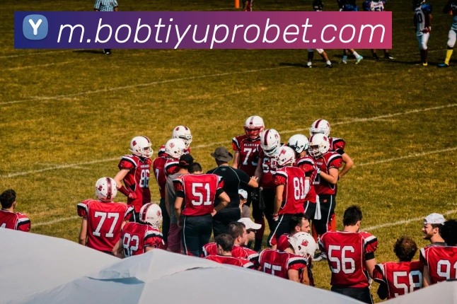 BOB体育APP 封面图